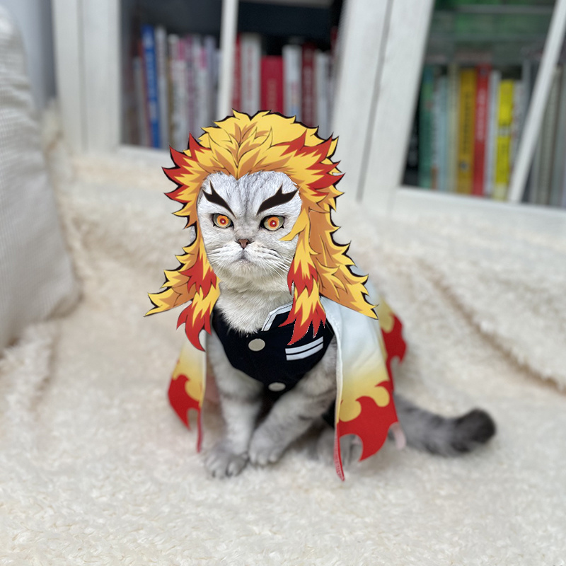 女性のための巨大なペットの変装,動物のモチーフ,孫悟空,アリ - Cosplay Flame Prop のレビューと価格
