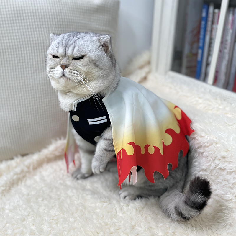 女性のための巨大なペットの変装,動物のモチーフ,孫悟空,アリ - Cosplay Flame Prop のレビューと価格