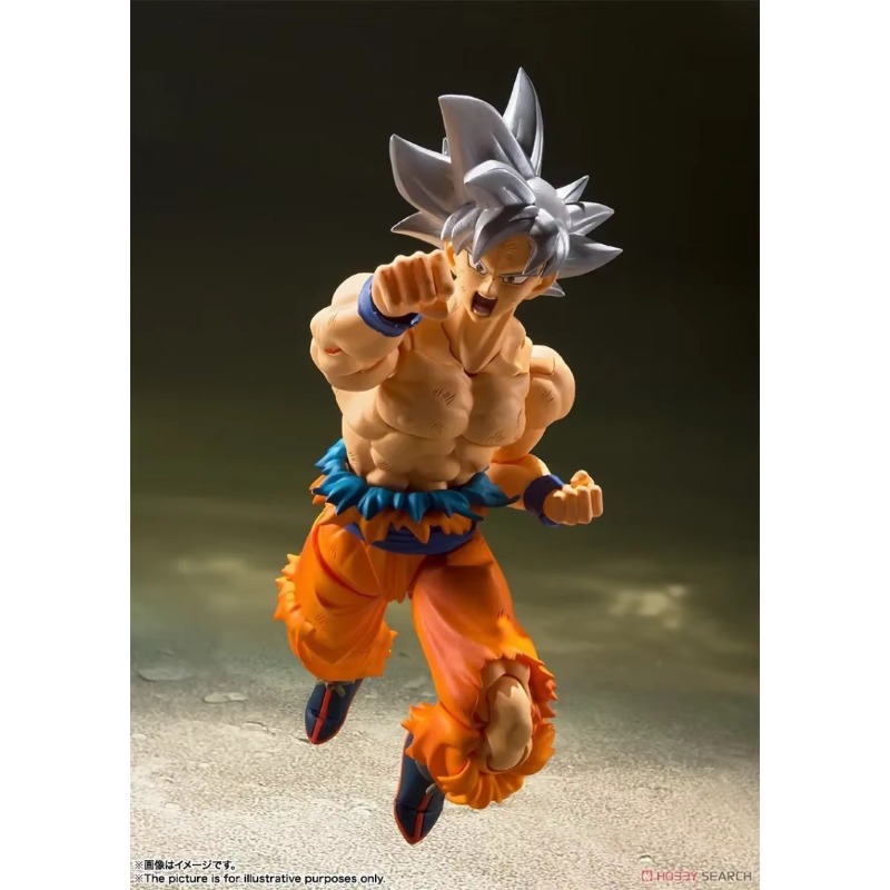 バンダイ タマシーネーションズ S.H.Figuarts ド - Bandai Tamashii Nations S.H.Figuarts のレビューと価格