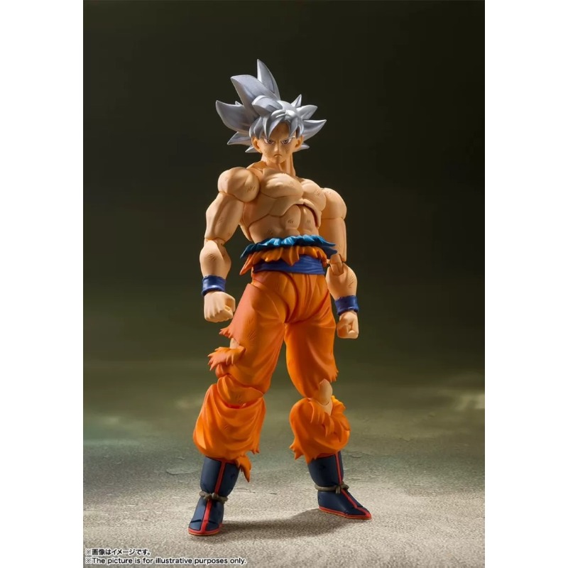 バンダイ タマシーネーションズ S.H.Figuarts ド - Bandai Tamashii Nations S.H.Figuarts のレビューと価格